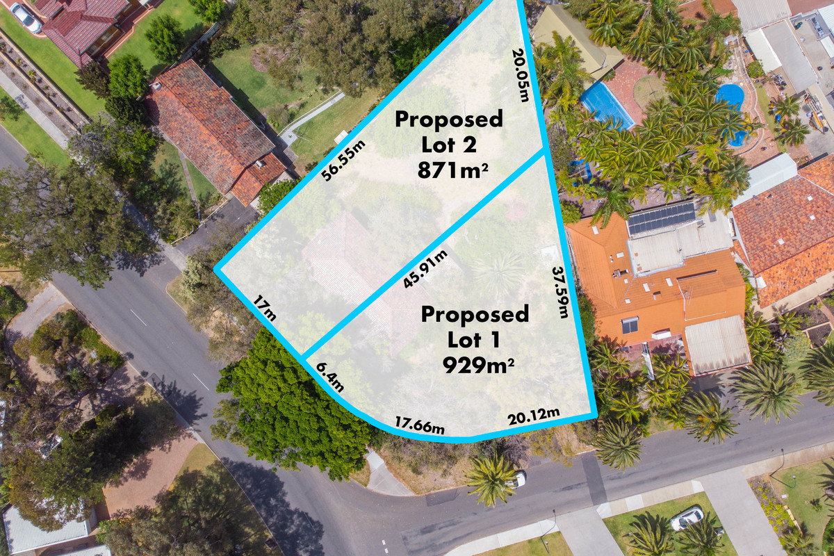 RARE EARTH – CHOICE OF TWO LOTS