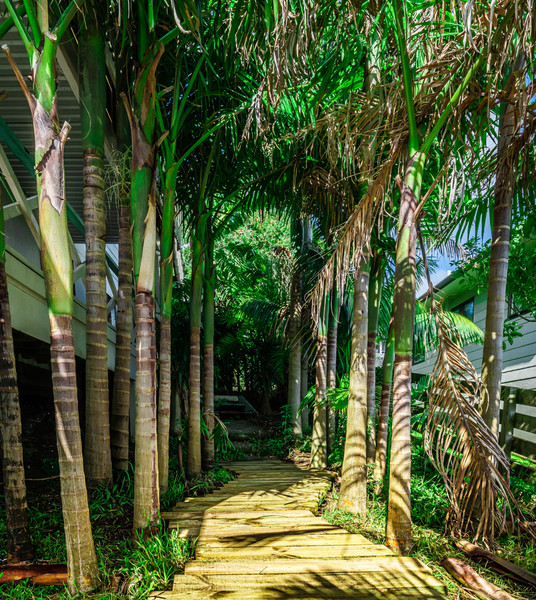 11 Te Kapa Place, Snells Beach, Rodney, Auckland 0920