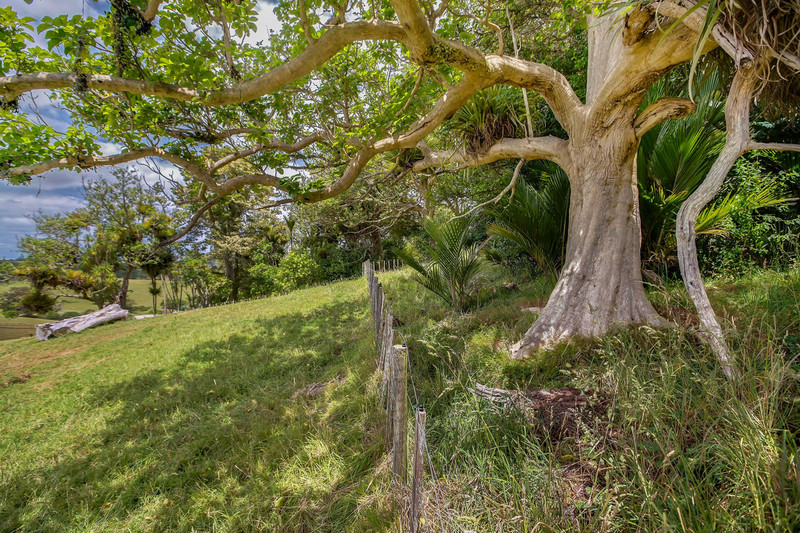 986 Wainui Road, Wainui, Rodney, Auckland 4010
