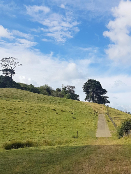 986 Wainui Road, Wainui, Rodney, Auckland 4010
