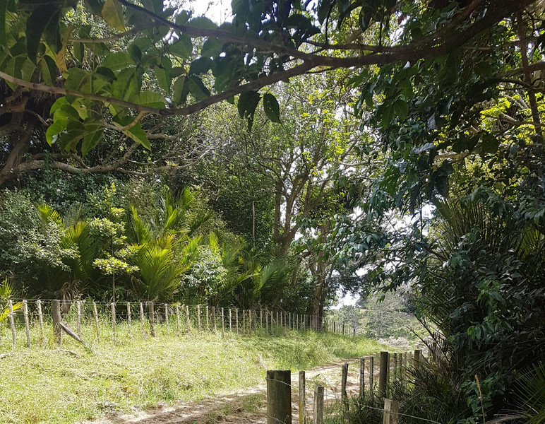 986 Wainui Road, Wainui, Rodney, Auckland 4010