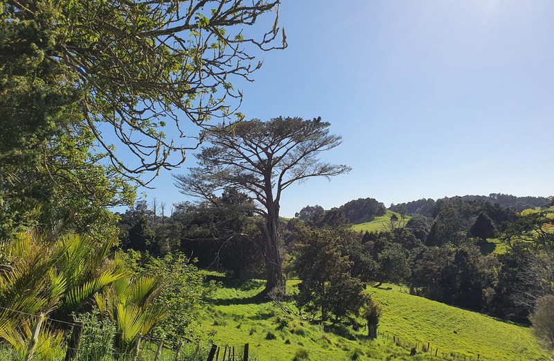 986 Wainui Road, Wainui, Rodney, Auckland 4010