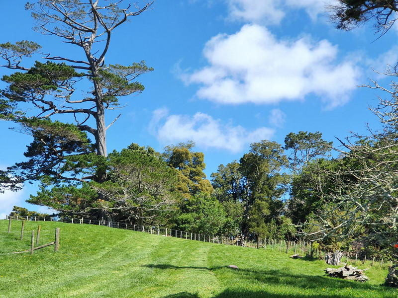 986 Wainui Road, Wainui, Rodney, Auckland 4010