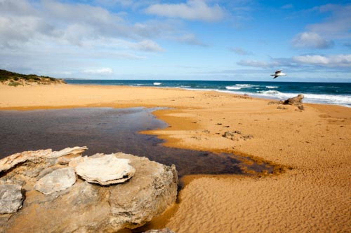 Lot 59 Logans Beach Coastal Village, Warrnambool VIC 3280