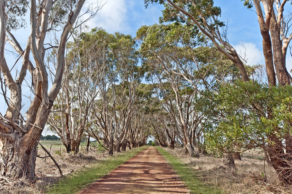71 Grauers Road, Allansford VIC 3277