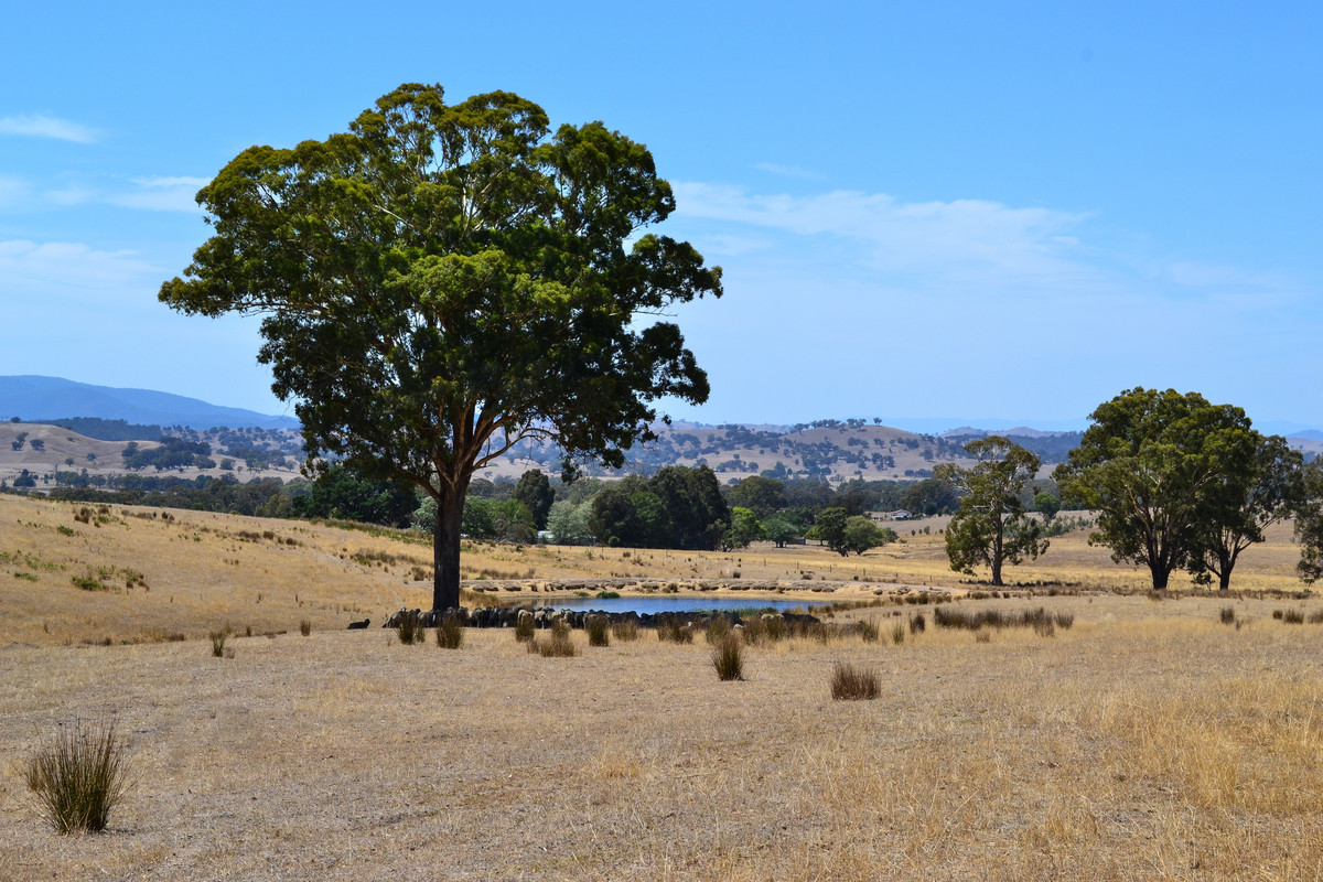 LIFESTYLE FRIENDLY & 520 ACRES - 2 TITLES