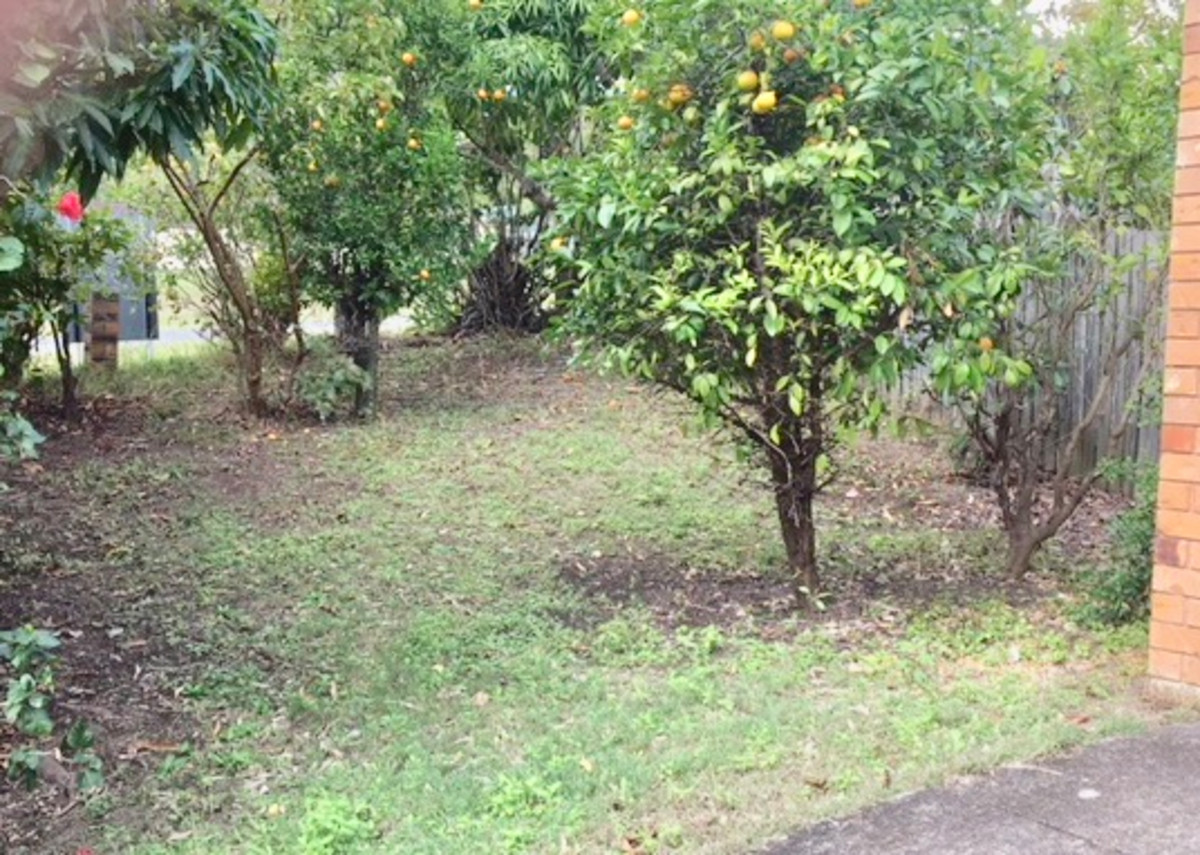 20 Harburg Drive, Beenleigh, Australia 4207, 3 Bedrooms Bedrooms, ,1 BathroomBathrooms,House,Sold,Harburg Drive,1103