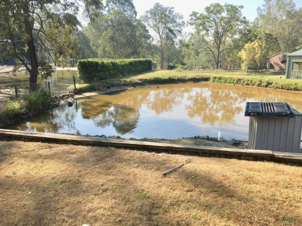3 Woodville Place, Yatala, Australia 4207, 6 Bedrooms Bedrooms, ,4 BathroomsBathrooms,House,Sold,Woodville Place,1191