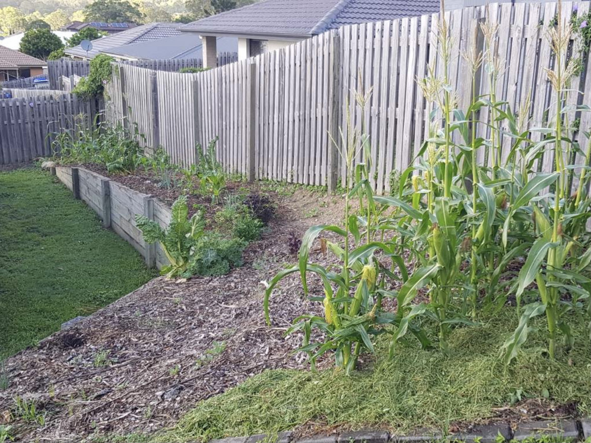 39 Skyline Circuit, Bahrs Scrub, Australia 4207, 4 Bedrooms Bedrooms, ,2 BathroomsBathrooms,House,For sale,Skyline Circuit,1267