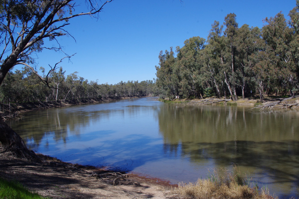 Outstanding river blocks in Barmah Kevin Hicks Real Estate