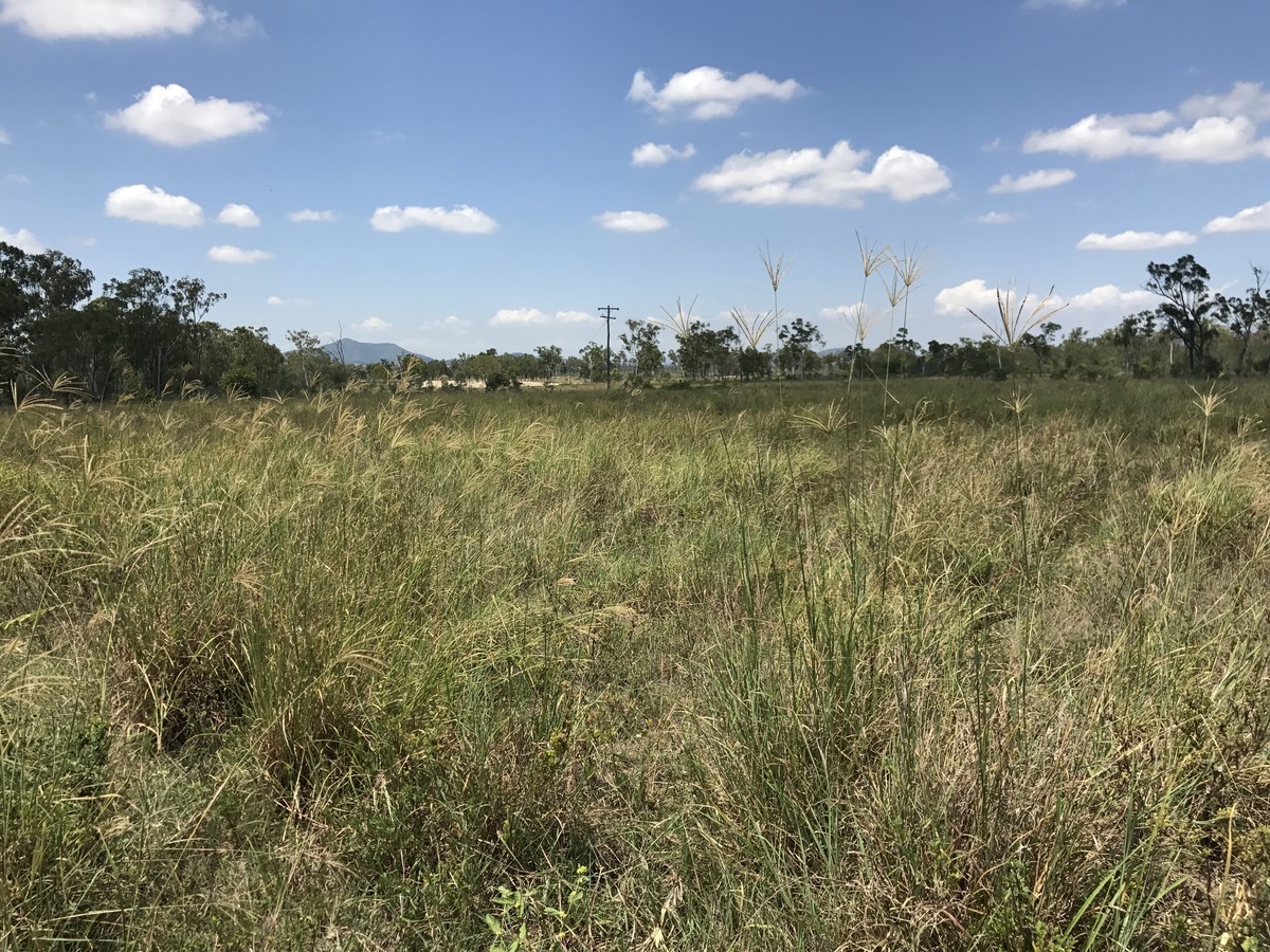 512 acres 30 mins to Rockhampton Pat O'Driscoll Real Estate
