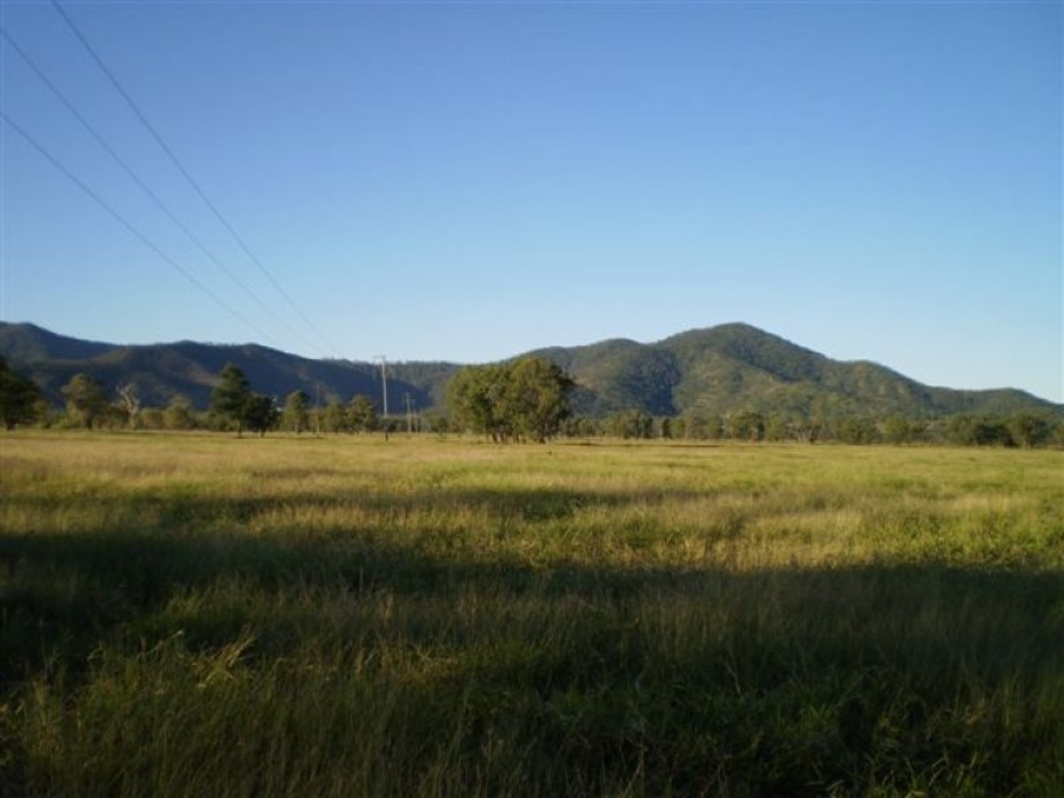 LIFESTYLE HOBBY PADDOCK Pat O'Driscoll Real Estate