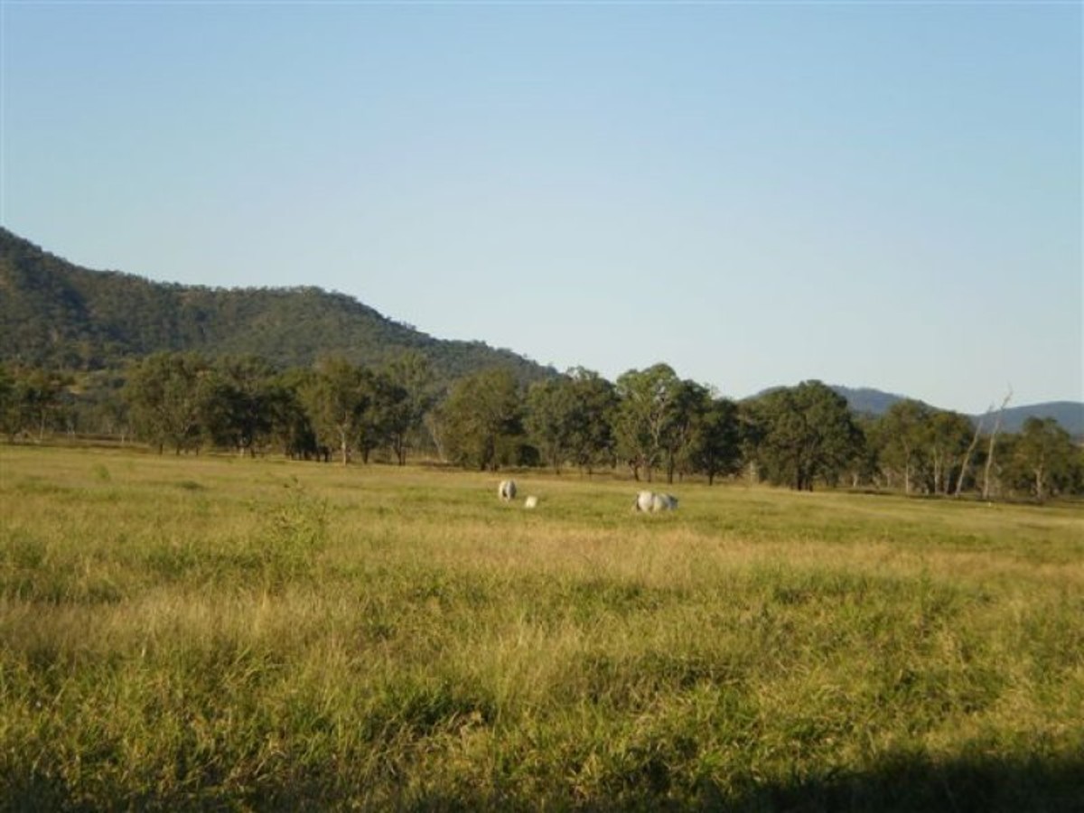 LIFESTYLE HOBBY PADDOCK Pat O'Driscoll Real Estate