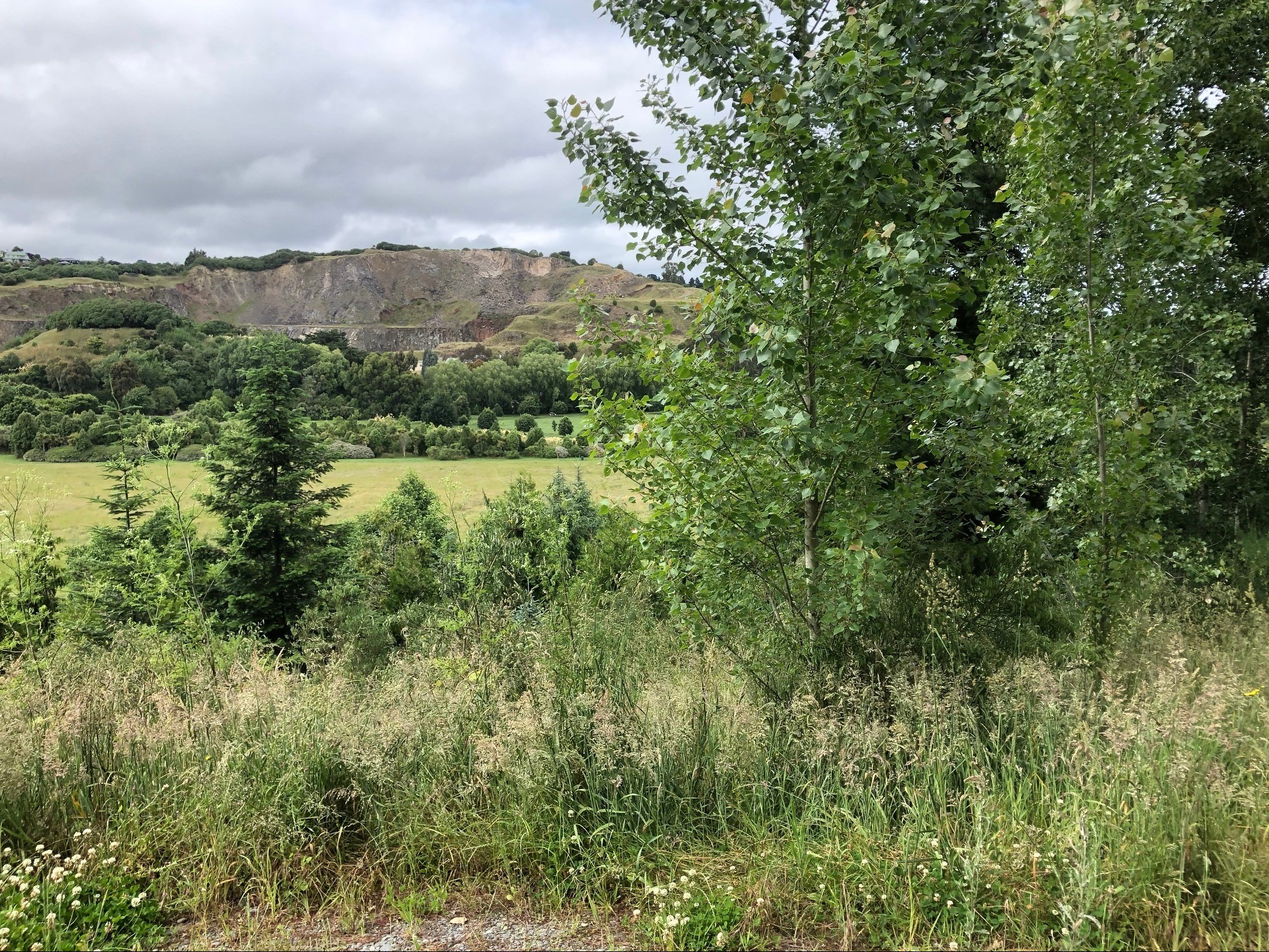 895A Cashmere Road, Halswell, Christchurch City Mike Pero Real Estate