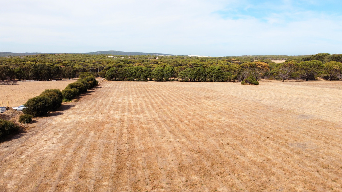  ACREAGE IN BREMER TOWN