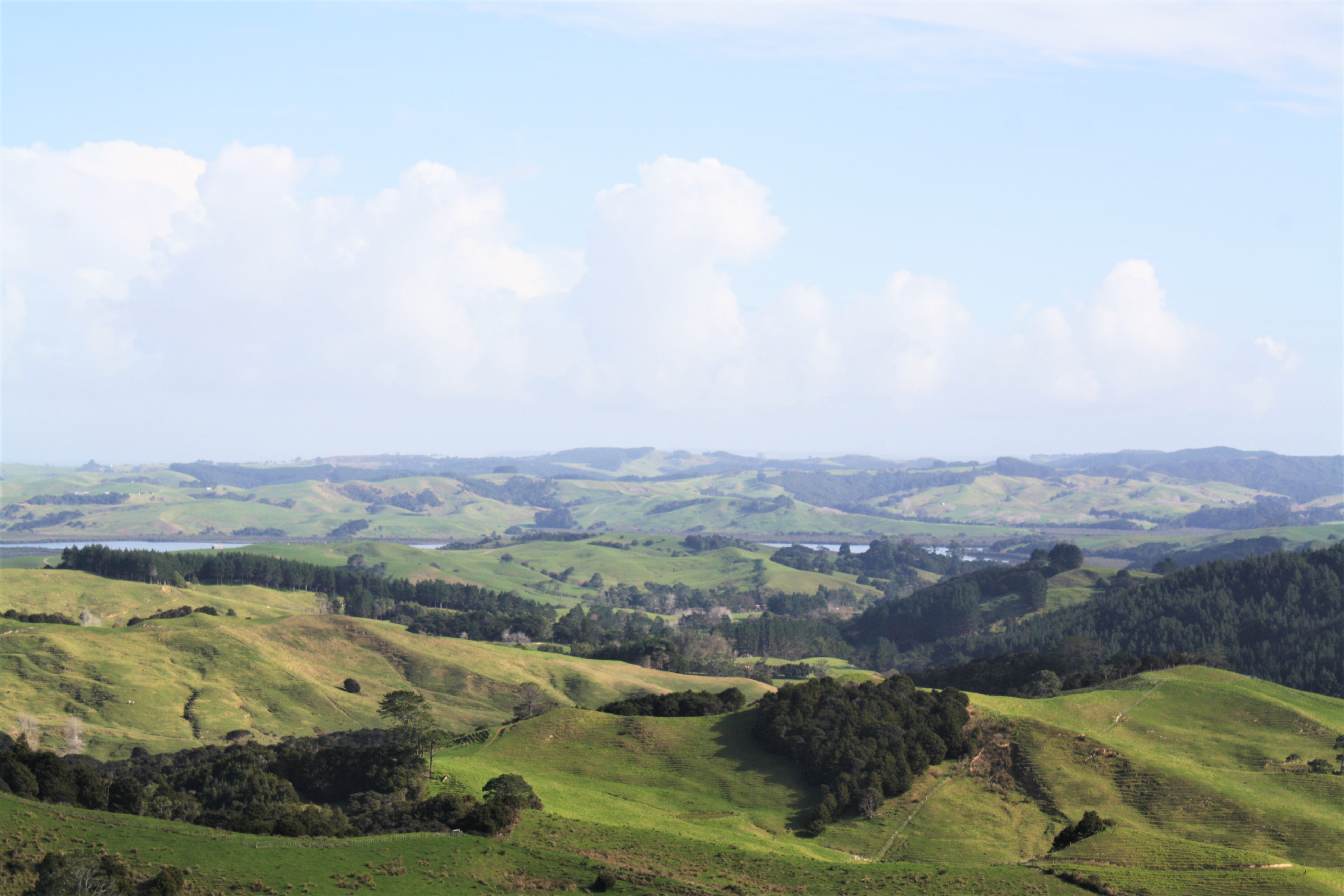 Kaipara Coast Highway, Wellsford, Rodney Mike Pero Real Estate