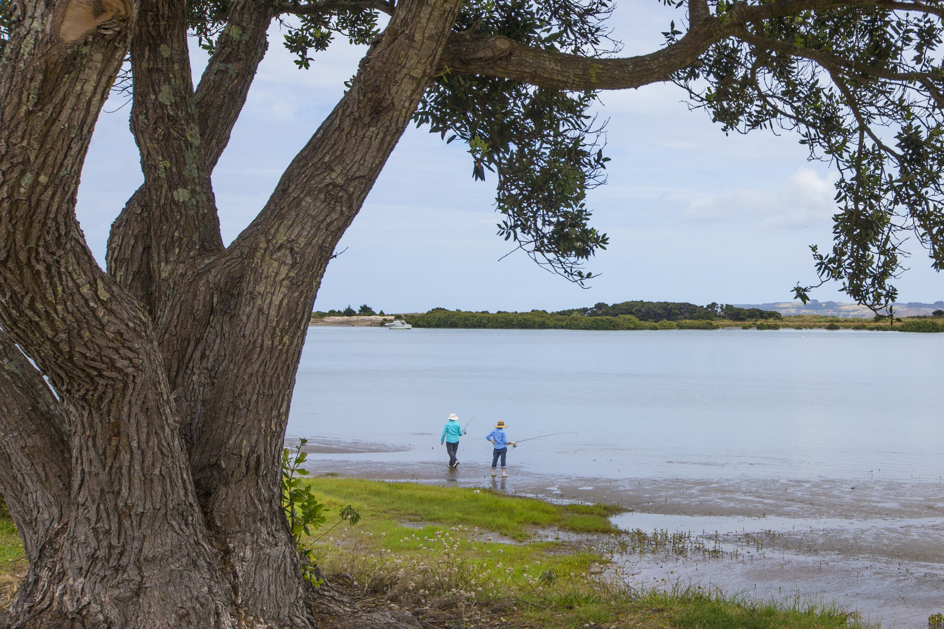 17 Birds Beach Road, Tapora, Rodney Mike Pero Real Estate