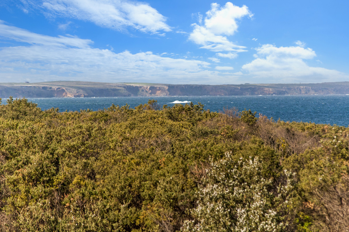 2 Barbro Terrace, Warrnambool VIC 3280