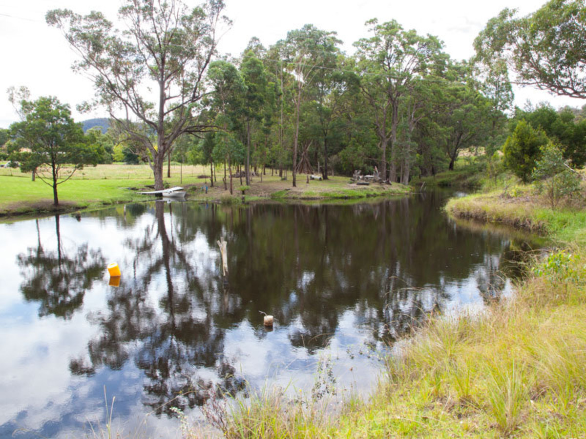  Acres for a Country Life adjoining Cobargo Village