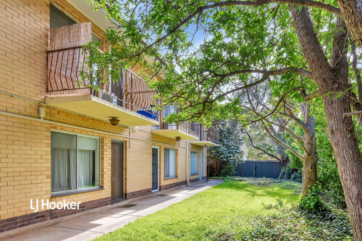 3 / 18 Angus Street, Goodwood SA 5034 (1605534)