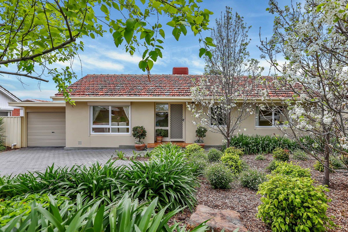 15 Anita Avenue, Gilles Plains SA 5086 (956643)