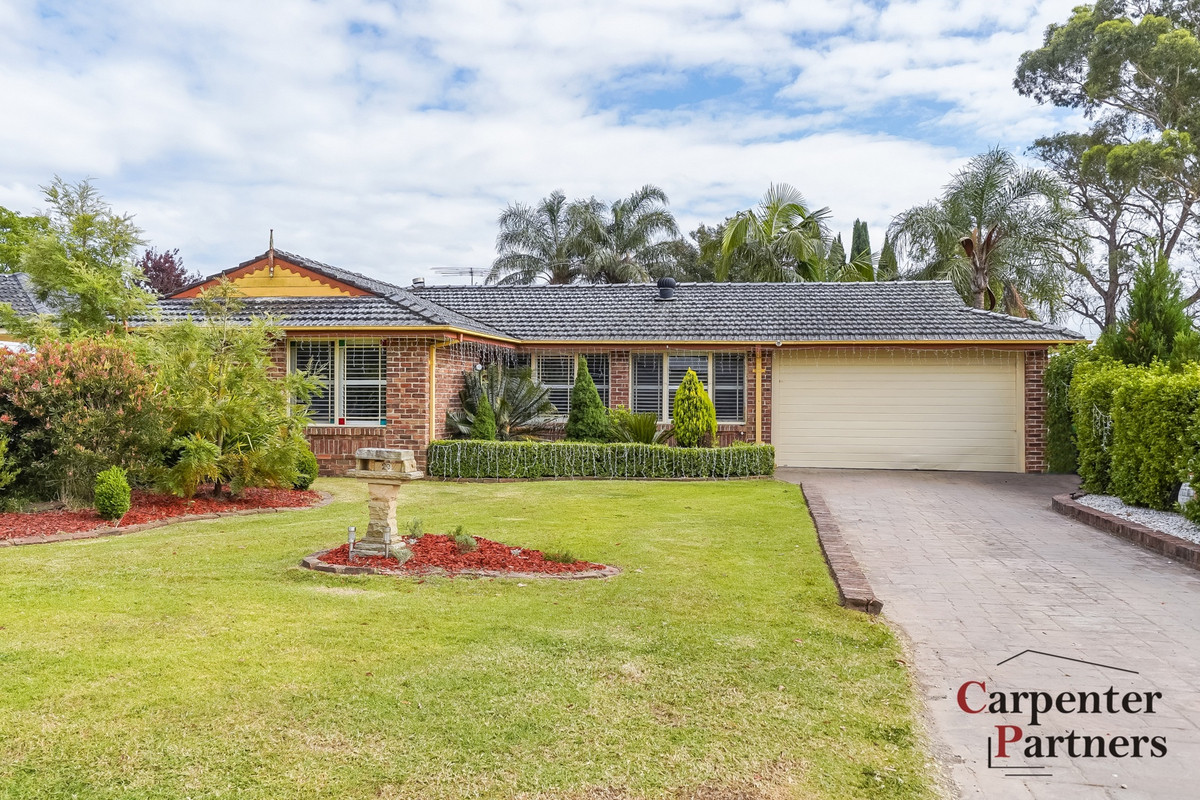 Easy to enjoy! Carpenter Partners