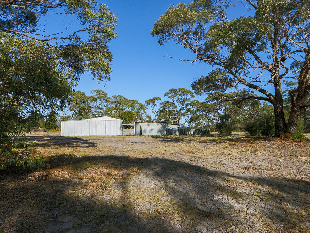  LIFESTYLE BUSH BLOCK 15.8 ACRES!