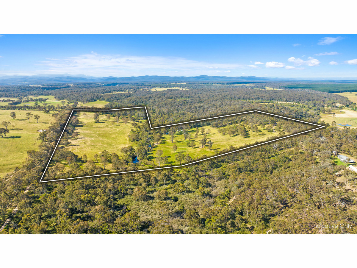  BRILLIANT 93 ACRE BUSH BLOCK