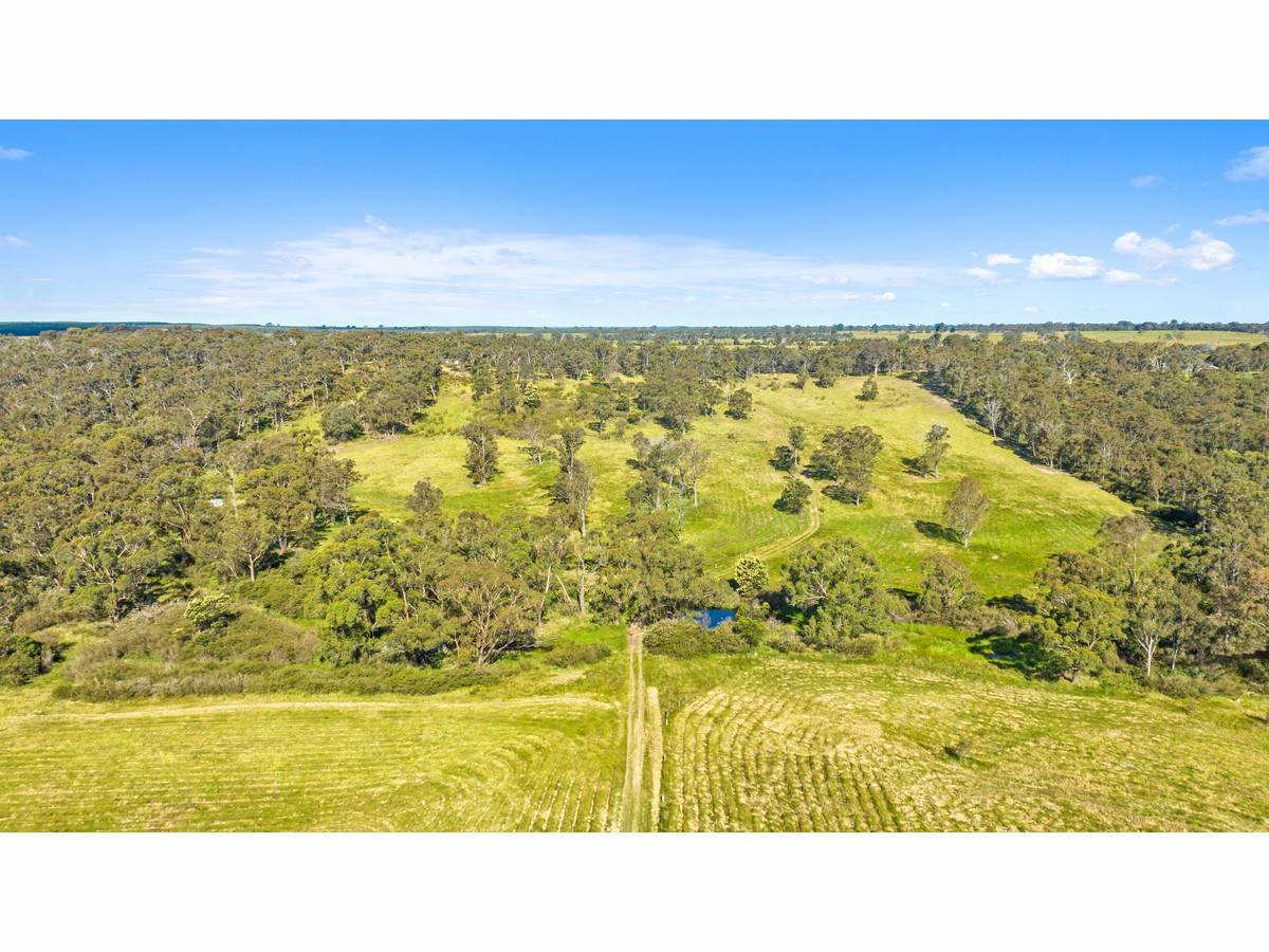  BRILLIANT 93 ACRE BUSH BLOCK